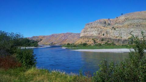 The Yellowstone River, roughly 40 miles above the location of the pipeline spill. Photo by Brent Zundel