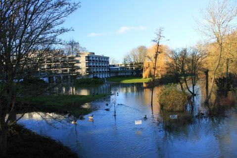 Uncontrollable flooding and the wettest winter in recorded history. Why wouldn't you want to move here?
