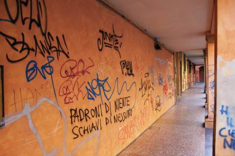 Graffiti on the outskirts of the university campus.