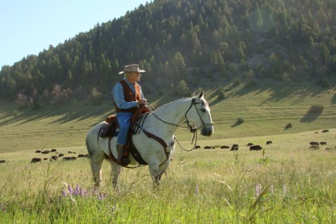 Ted Turner surveys his private bison herd on the Flying D Ranch, just outside of Bozeman, Mont. Photo courtesy Elena Cizmarik, High Country News.